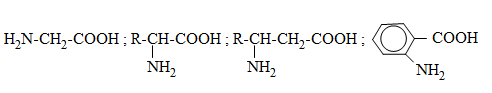 hinh-anh-bai-12-amino-axit-380-0