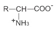 hinh-anh-bai-12-amino-axit-380-2