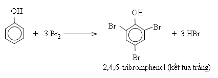 hinh-anh-bai-55-phenol-363-4