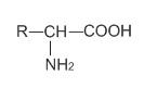 hinh-anh-bai-12-amino-axit-380-3