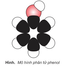 hinh-anh-bai-55-phenol-363-2