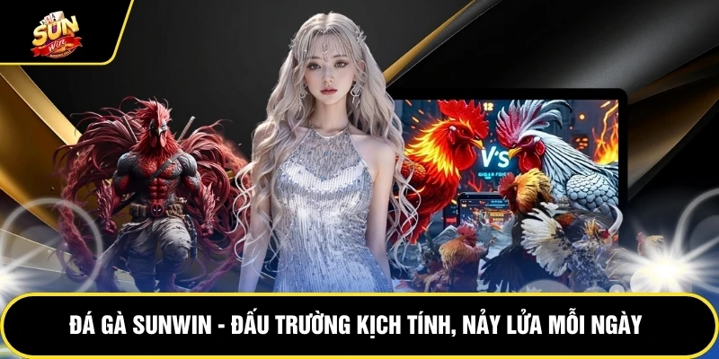 da-ga-sunwin-trai-nghiem-dau-truong-kich-tinh-moi-ngay-5649