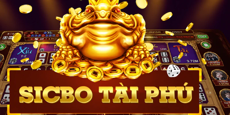 sicbo-tai-phu-md5-cach-check-ma-chuan-xac-cho-nguoi-moi