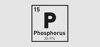 P-photpho-165