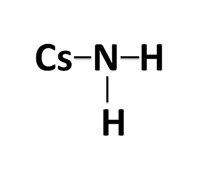 CsNH2-Cesi+amit-568