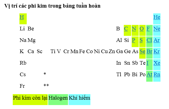 phi-kim-16