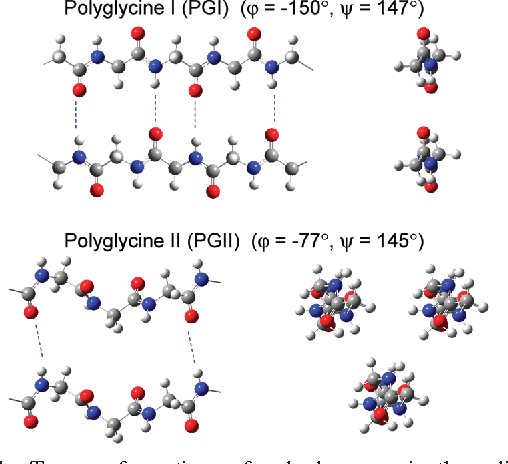 (NHCH2CO)n-Polyglycine-1355