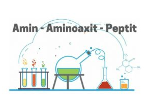 chuyen-chuyen-de-amin--amino-axit--peptit-111