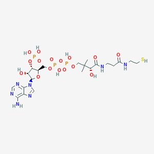C21H36N7O16P3S-Coenzyme+A-426