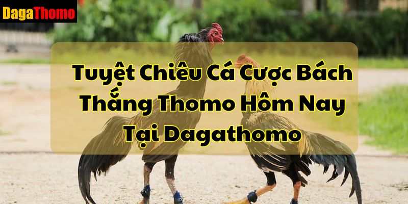 tuyet-chieu-ca-cuoc-bach-thang-thomo-hom-nay-tai-dagathomo-524