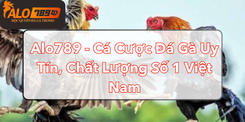 alo789-ca-cuoc-da-ga-uy-tin-chat-luong-so-1-viet-nam-870