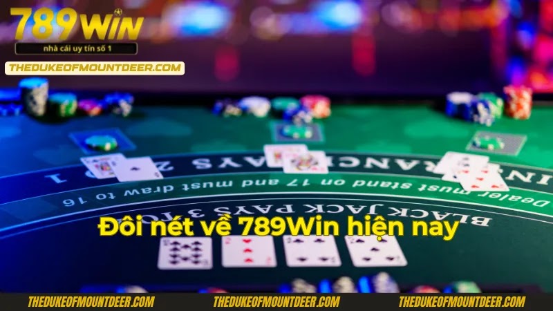 789win-su-lua-chon-tuyet-voi-danh-cho-bet-thu-2025-2107