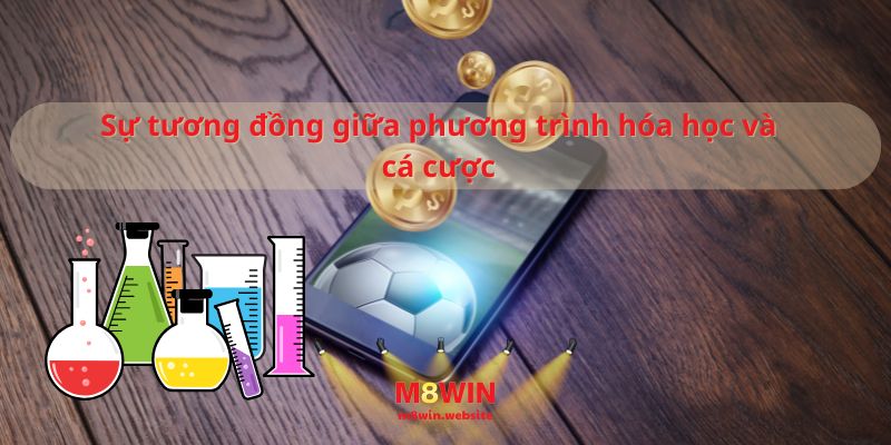 can-bang-phuong-trinh-hoa-hoc-va-can-bang-ngan-sach-ca-cuoc-bi-quyet-thanh-cong-2202