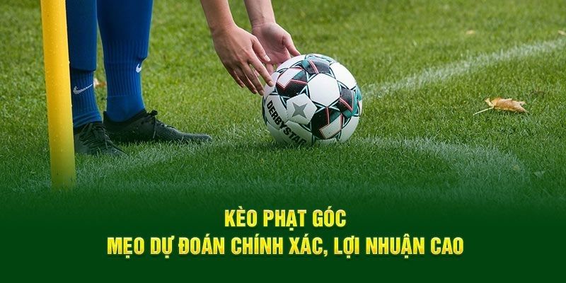 keo-phat-goc-bi-quyet-ca-cuoc-chuan-xac-cho-cuoc-thu-3916