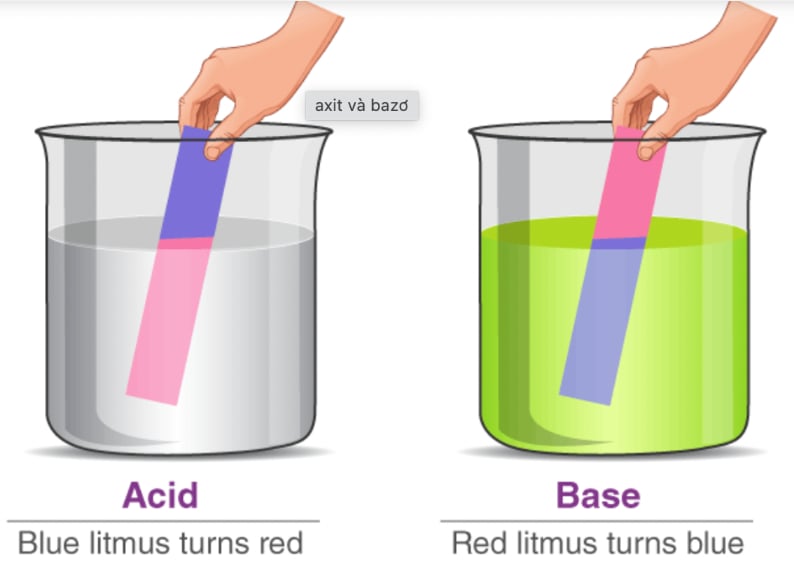 axit--bazo--muoi-cach-nhan-biet-va-phan-ung-trao-doi-ion-3746