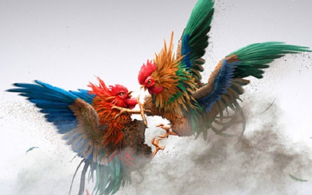 cham-soc-ga-choi-bi-quyet-nuoi-duong-va-phat-trien-suc-manh-cho-chien-ke-cua-ban-4318