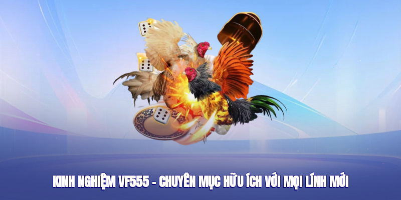 kinh-nghiem-vf555--chuyen-muc-huu-ich-voi-moi-linh-moi-4797