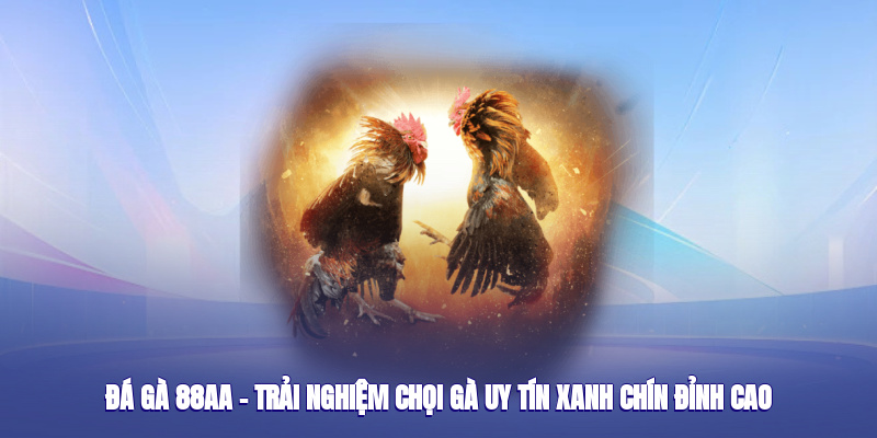 da-ga-88aa--trai-nghiem-choi-ga-uy-tin-xanh-chin-dinh-cao-2025-4849
