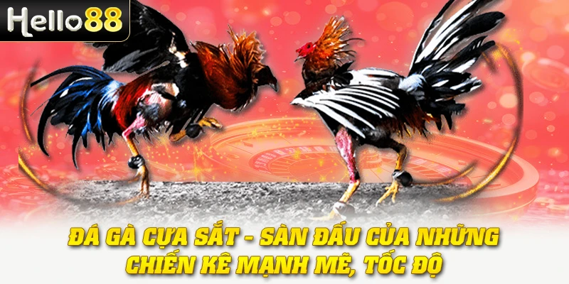 da-ga-hello88--tran-chien-cua-ban-linh-va-toc-do-5081