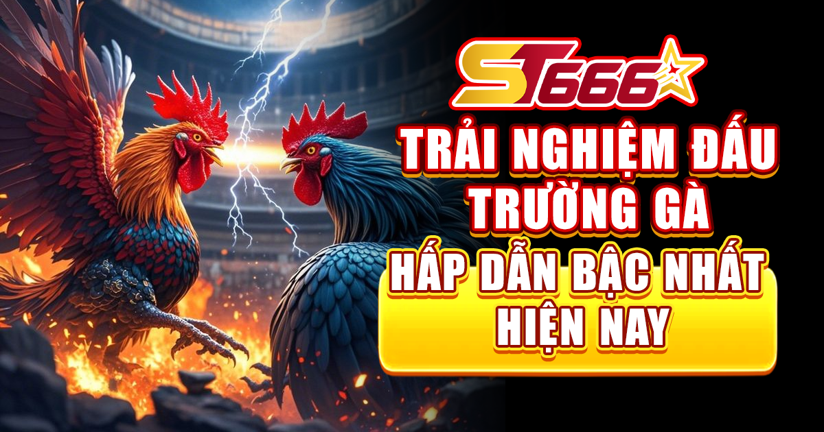 st666-trai-nghiem-dau-truong-ga-hap-dn-bac-nhat-hien-nay-5112