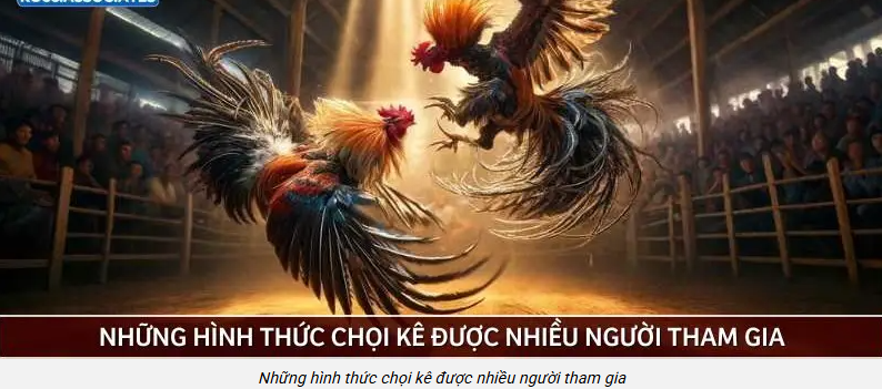 chien-luoc-quan-von-da-ga-ko66-ky-luat-thang-cam-xuc-5342