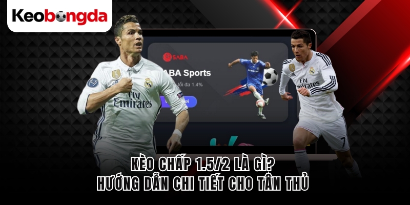 keo-chap-152-la-gi-huong-dn-chi-tiet-cho-tan-thu-5376