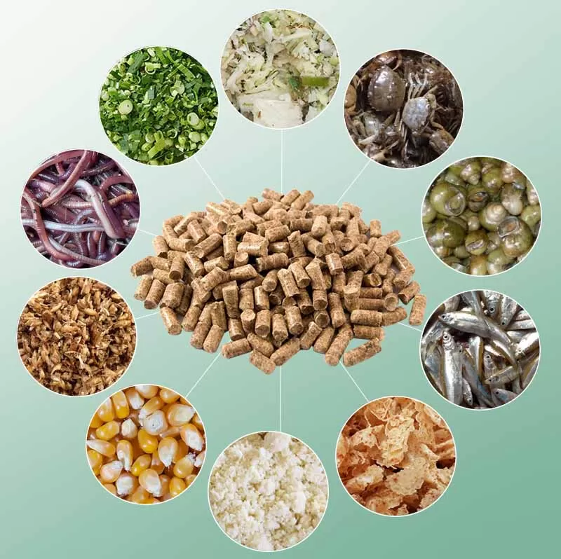 hinh-anh-thuc-an-ca-da-tron-dinh-duong-toi-uu-ca-lon-nhanh-khoe-manh-4341-1