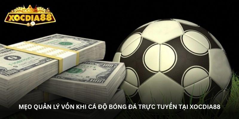 hinh-anh-trang-ca-do-bong-da-uy-tin-xocdia88-noi-hoi-tu-cac-tran-cau-dinh-cao-2