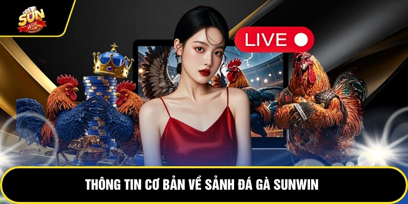 hinh-anh-da-ga-sunwin-trai-nghiem-dau-truong-kich-tinh-moi-ngay-5649-0