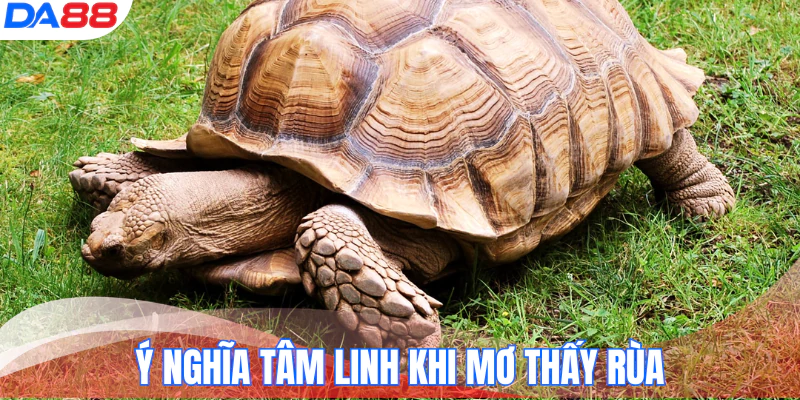 hinh-anh-mo-thay-rua-danh-so-gi-con-so-tai-loc-giup-ban-doi-doi-17380-1