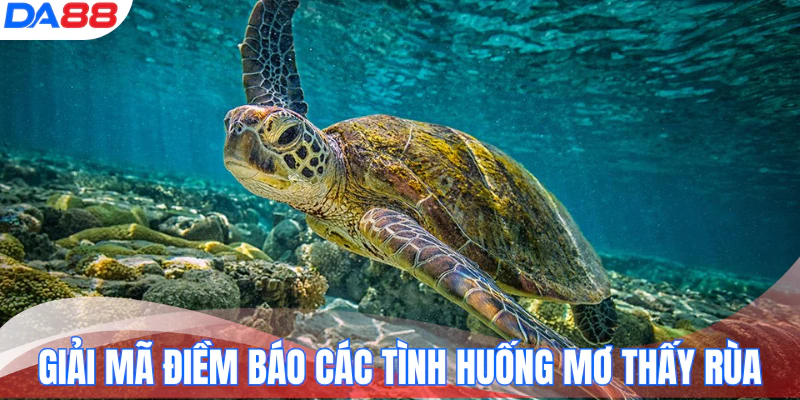 hinh-anh-mo-thay-rua-danh-so-gi-con-so-tai-loc-giup-ban-doi-doi-17380-2