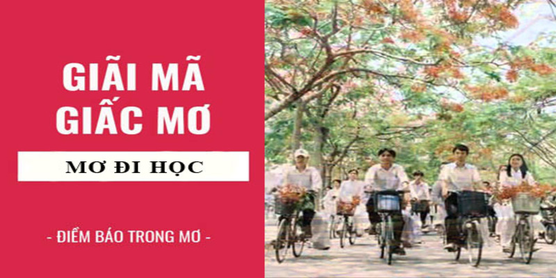 hinh-anh-mo-thay-di-hoc-danh-so-gi-bi-mat-con-so-may-man-5372-0