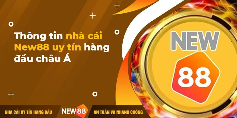 hinh-anh-new88-link-new88-huong-dn-dang-nhap-moi-nhat-2024-892-0