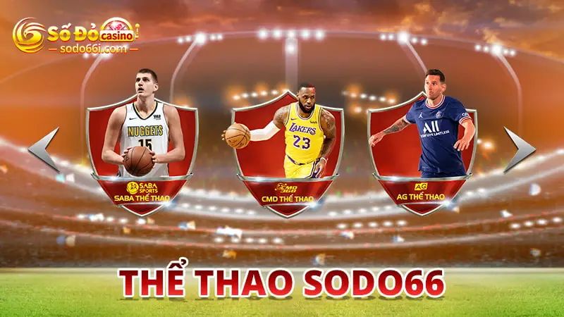 hinh-anh-khai-quat-ve-the-thao-sodo66-dinh-cao-so-1-viet-nam-2015-0