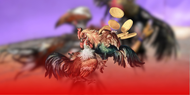 hinh-anh-cac-loai-hinh-da-ga-thu-hut-nguoi-yeu-thich-tai-ga888-4304-0