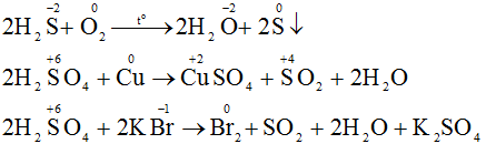 hinh-anh-khi-khi-h2s-va-axit-h2so4-tham-gia-cac-phan-ung-oxi-hoa--khu-nguoi-ta-co-nhan-xet--hidro-sunfua-chi-the-hien-tinh-khu-axit-sunfuric-chi-the-hien-tinh-oxi-hoa-a-hay-giai-thich-dieu-nhan-xet-tren-b-doi-voi-moi-chat-hay-dn-ra-mot-phan-ung-hoa-hoc-de-minh-hoa-3530-0