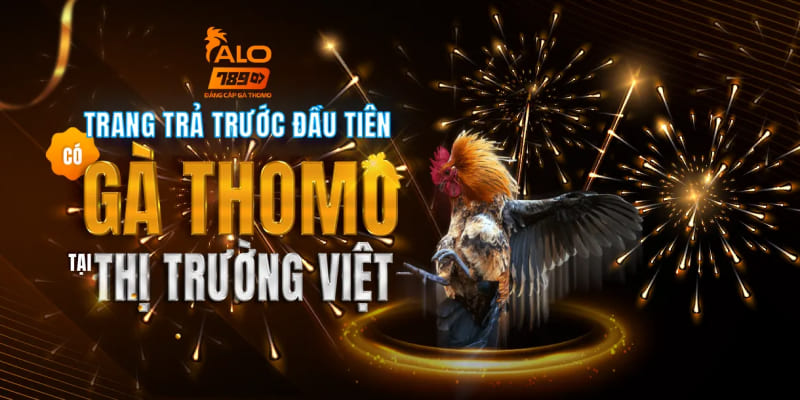 hinh-anh-alo789-nha-cai-thomo-uy-tin-hang-dau-thi-truong-ca-cuoc-230-0