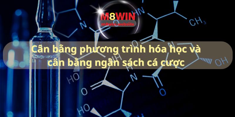 hinh-anh-can-bang-phuong-trinh-hoa-hoc-va-can-bang-ngan-sach-ca-cuoc-bi-quyet-thanh-cong-2202-0