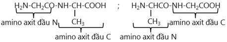hinh-anh-bai-11-peptit-va-protein-223-1