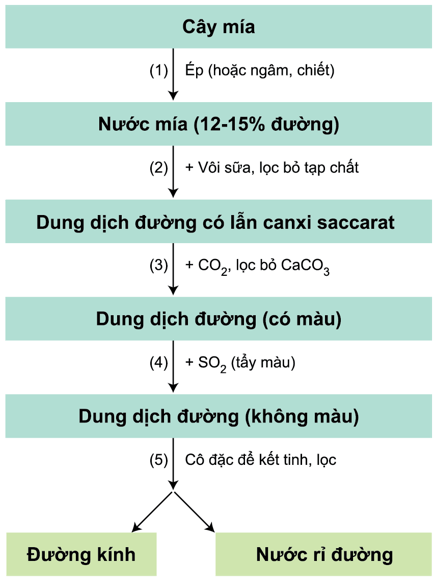 hinh-anh-bai-6-saccarozo-tinh-bot-va-xenlulozo-218-2