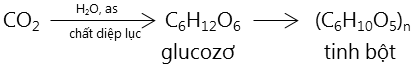 hinh-anh-bai-6-saccarozo-tinh-bot-va-xenlulozo-218-3