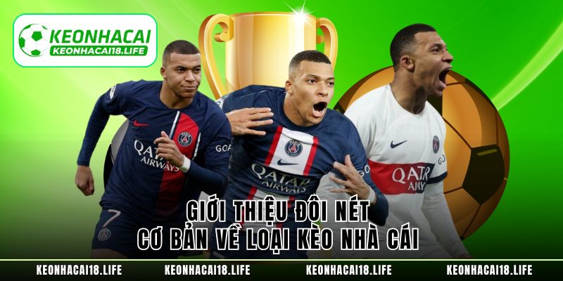 hinh-anh-top-4-loai-keo-nha-cai-duoc-ua-chuong-cung-cac-giai-ma-5091-0