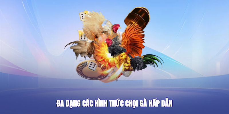 hinh-anh-da-ga-88aa--trai-nghiem-choi-ga-uy-tin-xanh-chin-dinh-cao-2025-4849-2