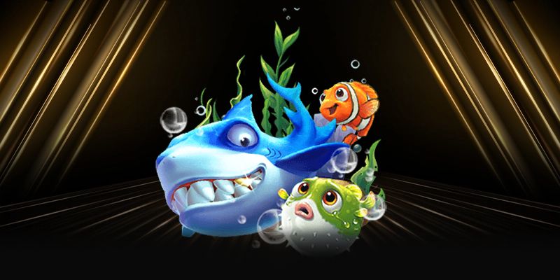 hinh-anh-ban-ca-go8-trai-nghiem-ca-cuoc-dinh-cao-nam-2025-5192-0