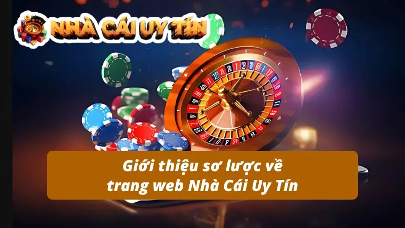 hinh-anh-nha-cai-uy-tin-website-uy-tin-va-chat-luong-nhat-nam-2025-4555-0