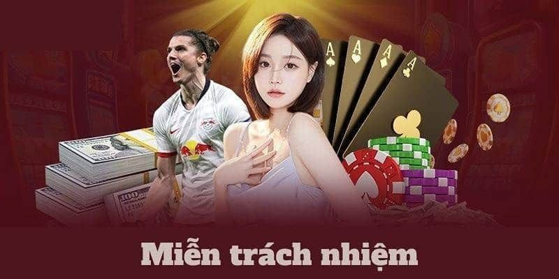 hinh-anh-mien-tru-trach-nhiem-rwin--vai-tro-trong-bao-ve-quyen-loi-4068-0