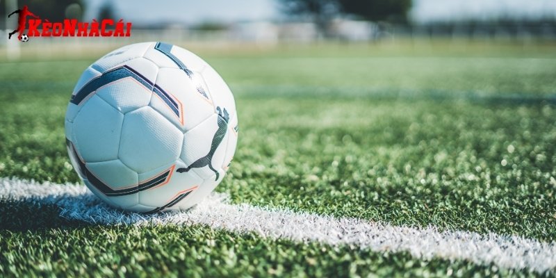 hinh-anh-keo-nha-cai-5-va-nghe-thuat-quan-ly-von-khi-ca-cuoc-4648-1