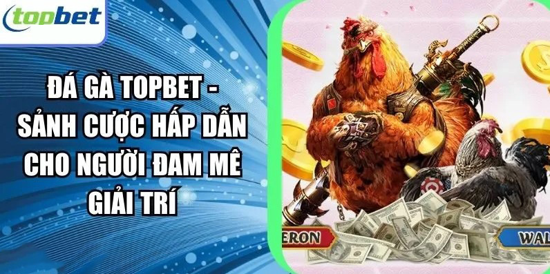 hinh-anh-da-ga-topbet--trai-nghiem-giai-tri-dinh-cao-va-co-hoi-chien-thang-lon-4951-2