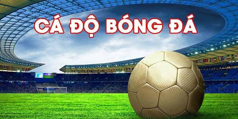 hinh-anh-dang-ky-trang-ca-do-bong-da-7777-com-nhan-ngay-uu-dai-hot-lien-tay-4725-1