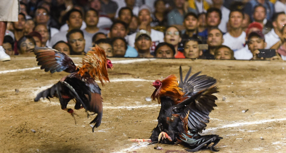 hinh-anh-da-ga-khong-cua-t88-meo-vao-keo-an-toan-gio-cao-diem-4955-1